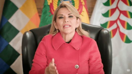 Bolivia. Presidenta de facto  arremete contra Argentina en ONU