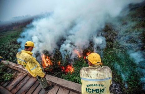 Brasil. El Pantanal sufre la mayor cantidad de incendios de su historia