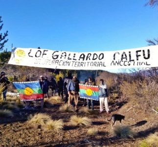 Nación Mapuche. Comunidad  toma tierras en El Foyel: “Hace 40 años nos despojaron del territorio mediante una estafa”