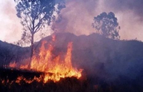 Argentina. Más de 18 mil hectáreas de yungas jujeñas arrasadas por el fuego