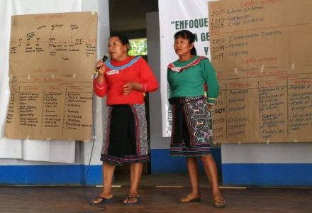 Perú. ¿Qué desafíos tiene el Plan de Acción en Género y Cambio Climático?