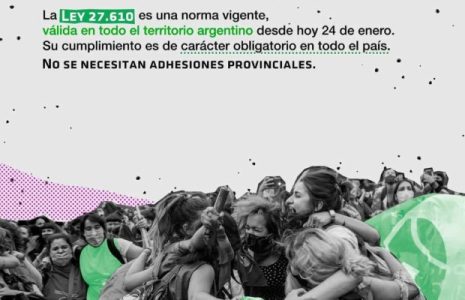 Argentina. Repudio al intento de suspender la aplicación de la Ley N° 27.610 en el Chaco