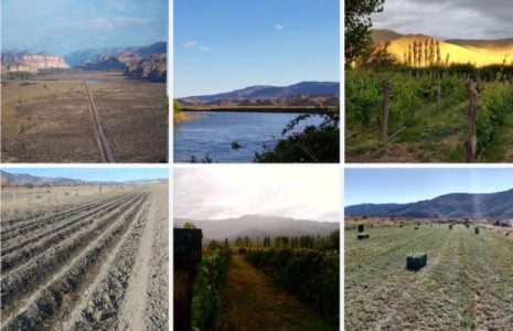 Argentina. Chubut: “La producción de la meseta podría abastecer alimentos desde la Cordillera al mar”