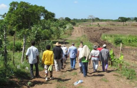 Colombia. Denuncian inminentes desalojos en zona rural de Santander
