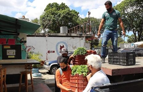 Venezuela. Agroecología para la producción campesina con las comunas urbanas