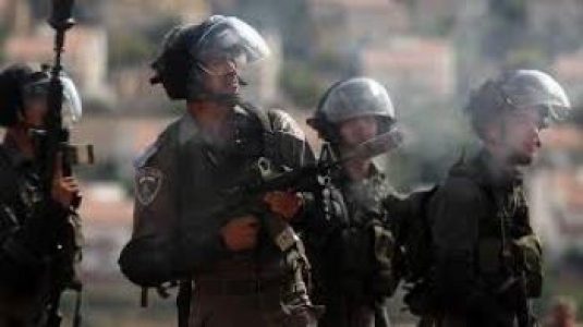 Palestina. Militares sionistas hieren a varios manifestantes en la Cisjordania ocupada