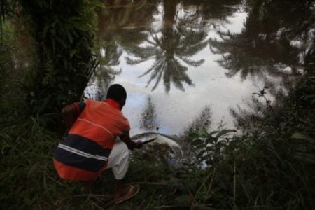 Ecología Social. Shell condenada tras 13 años de litigio por contaminar el delta del Níger