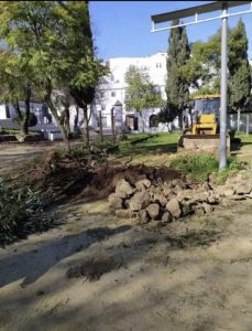 La Janda: El Ayuntamiento de Vejer quiere construir un aparcamiento sacrificando una de las pocas zonas verdes del municipio