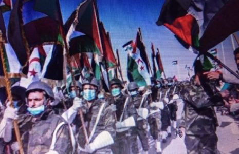 Sáhara Occidental. El Senado sin Vox pide al Gobierno que facilite una solución para el Sáhara y reivindica que sea política de Estado