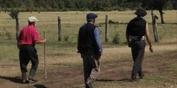 Nación Mapuche. Comunidad Cañio sostiene el trabajo de brigadas autoconvocadas para apagar el fuego en zonas inaccesibles