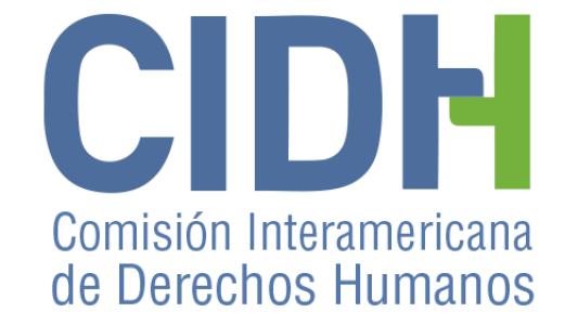 Brasil. En documento enviado a la CIDH, MST responde a acusaciones realizadas por el gobierno federal
