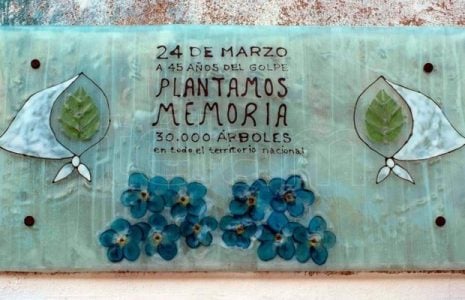 Argentina. Árboles, caravanas y actos virtuales en el Día de la Memoria en las provincias