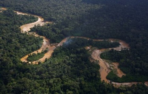 Perú. Exfuncionarios, empresarios de la madera y residentes de otras regiones compiten por representar la Amazonía