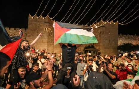 Palestina. Llamamiento por una intervención urgente