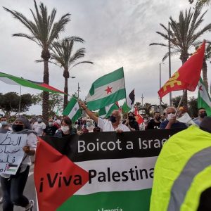 Vicar: solidaridad con el pueblo palestino y rechazo al racismo