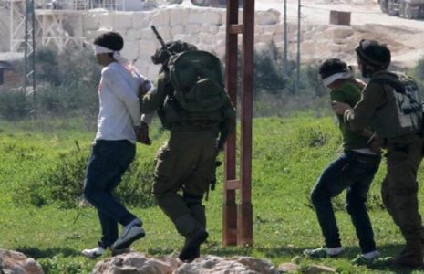 Palestina. Más de 680 palestinos heridos y 13 asesinados en junio