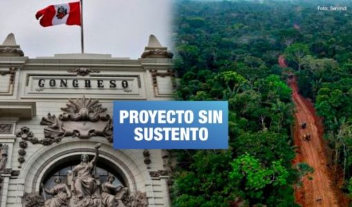 Perú. Ejecutivo pide archivar ley de carretera Amazónica por afectar territorios indígenas