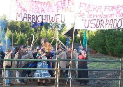 Nación Mapuche. Agrícola Galvarino pretende construir tres embalses en territorio de las Comunidades