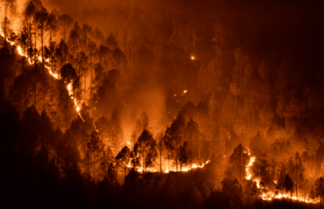 Estados Unidos. Crisis climática: Continúan avanzando incendios en el oeste