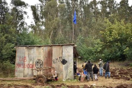 Nación Mapuche. Lob Mallekoche: reivindicación territorial