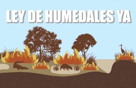Argentina. Anuncian travesía naútica exigiendo Ley de Humedales