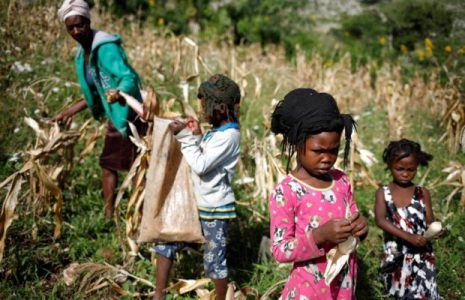 Haití. El blanco que no es: color e identidad