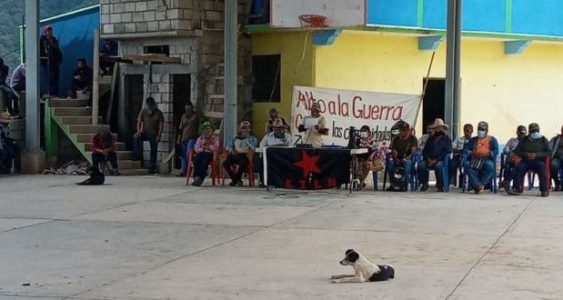 México. Guerrero: denuncian al gobierno de Astudillo «por su complicidad con los narcoparamilitares Los Ardillos”