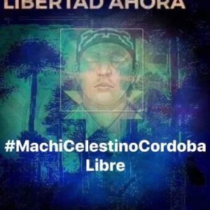 Nación Mapuche. Denuncia: una lawentuchefe e integrante de la Red de Apoyo al Machi Celestino Córdova, fue cobardemente amendrentada a balazos cuando se encontraba recolectando lawen