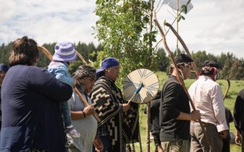 Nación Mapuche. PDI detiene en Temuco a Machi de Huichahue, Juan Queupumil, y allanan su ruka