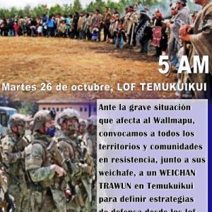 Nación Mapuche. Convocan a weichan trawun (reunion de lucha) en Temucuicui ante la arremetida represiva del Estado