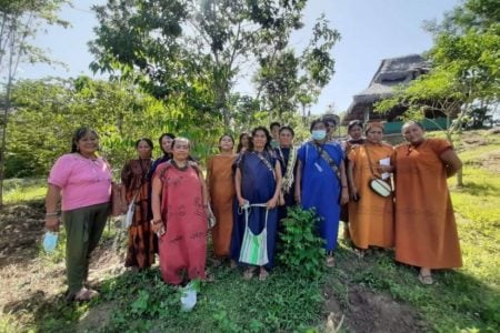 Feminismos. Farmacias del bosque: mujeres indígenas rescatan plantas de la Amazonía para combatir el Covid y otras enfermedades