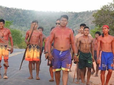 Brasil. Indígenas Krikati de Maranhão crean una «guardia forestal» contra los leñadores y ganaderos
