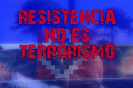 Nación Mapuche. Ni con la derecha ni con el progresismo servil: la CAM frente al escenario actual de la lucha revolucionaria