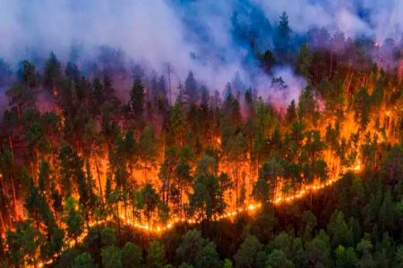Guatemala. Incendios forestales afectan 72 hectáreas