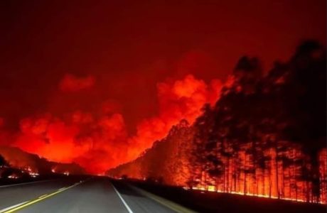 Uruguay. Uruguay. El negacionismo: los incendios forestales en Uruguay
