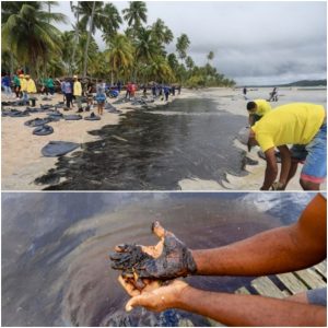 Brasil. Offshore en el mar: «el cuidado del medio ambiente y la promesa de desarrollo nunca se han hecho realidad»