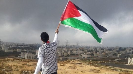 Palestina. Llamamiento de la Juventud  bajo ocupación a movilizarse