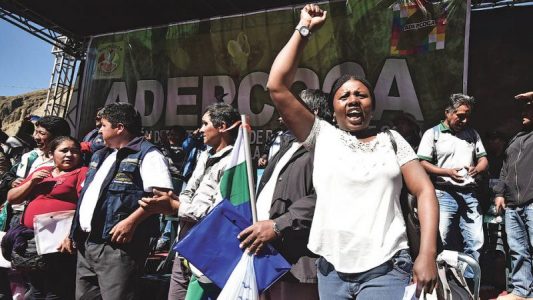 Aumentan la campaña por la libertad de Elena Flores, líder afroboliviana del sindicato cocalero – La otra Andalucía