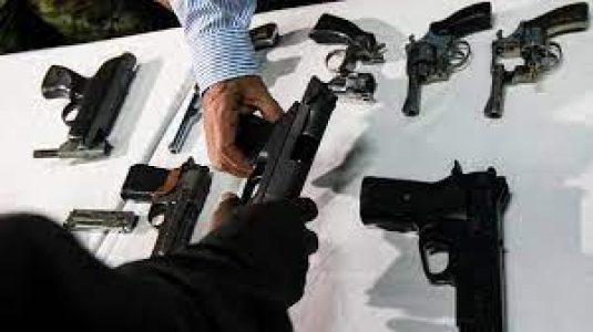 Bolivia. Policía incauta armas de fuego procedentes de Estados Unidos