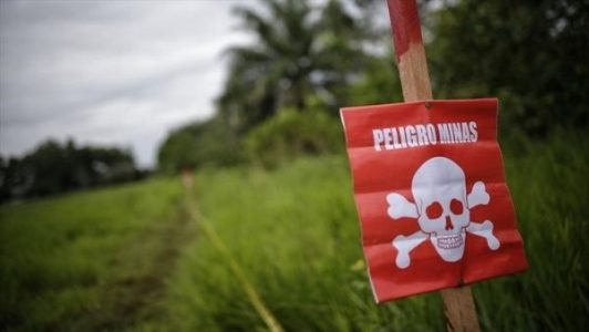 Colombia. Siete campesinos caen víctimas de minas en Argelia