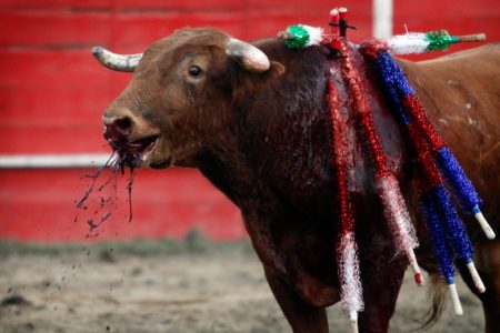 El gobierno se compromete con ganaderos, toreros, picadores… a apoyar la tauromaquia – La otra Andalucía