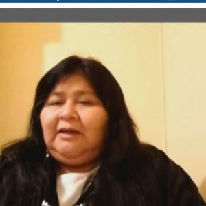 Nación Mapuche. Cámara de Diputadas y Diputados: Ratifican informe de