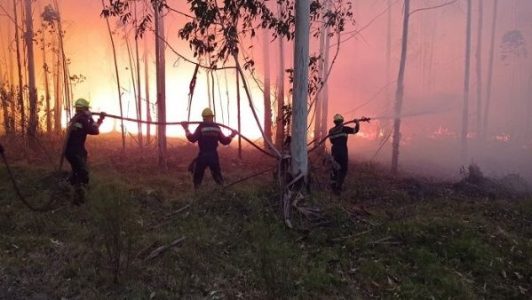 Uruguay. Incendios forestales dejan 21.800 hectáreas afectadas